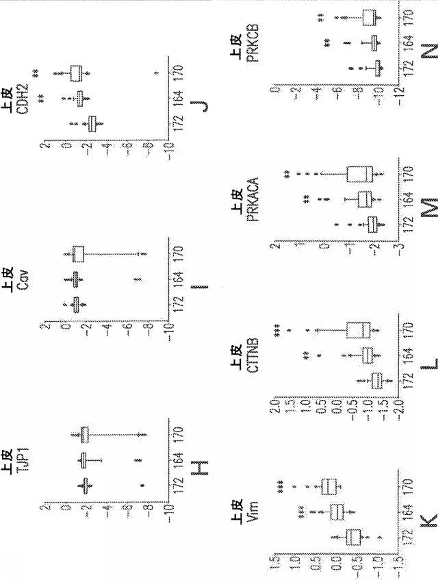 2021521803-子宮内膜症の治療のための組成物および方法 図000014