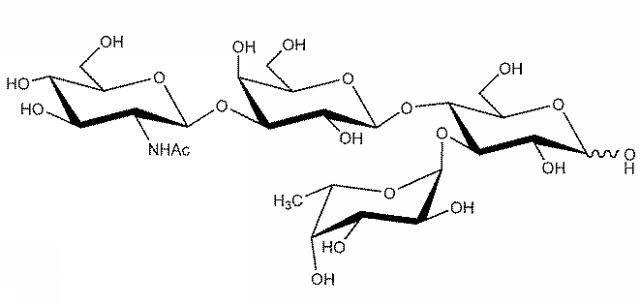 2017520267-ＬＮＴ、ＬＮｎＴおよびそれらのフコシル化誘導体の生物工学的産生 図000015