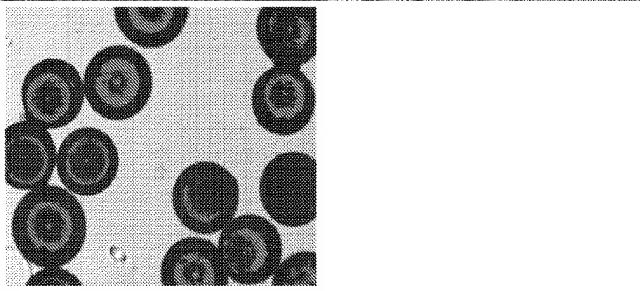 2017537776-液滴及び他の区画内での活性物質のカプセル化のためのシステム 図000015
