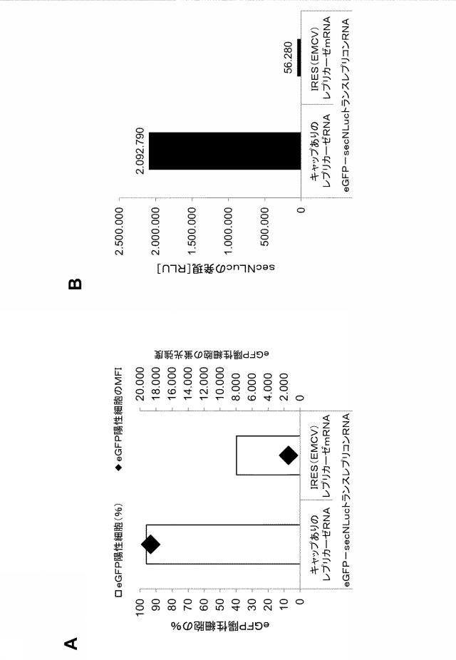 2019509048-トランス複製型ＲＮＡ 図000015