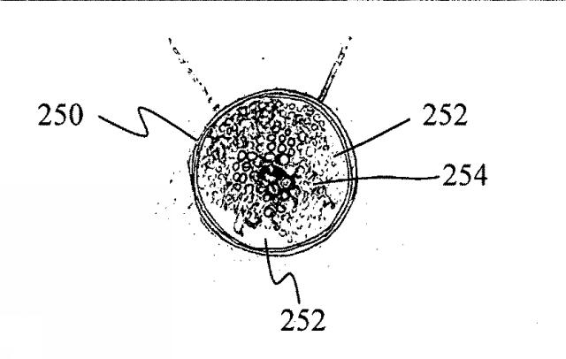 2019529023-動的流体宝飾品 図000015