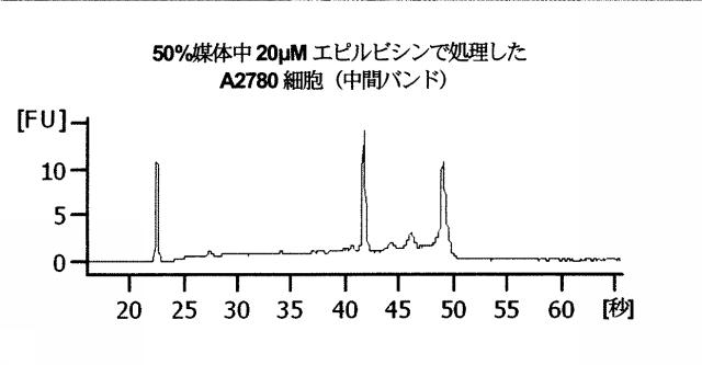 2015519887-ＲＮＡ破壊を評価するためのアッセイ、方法および装置 図000016