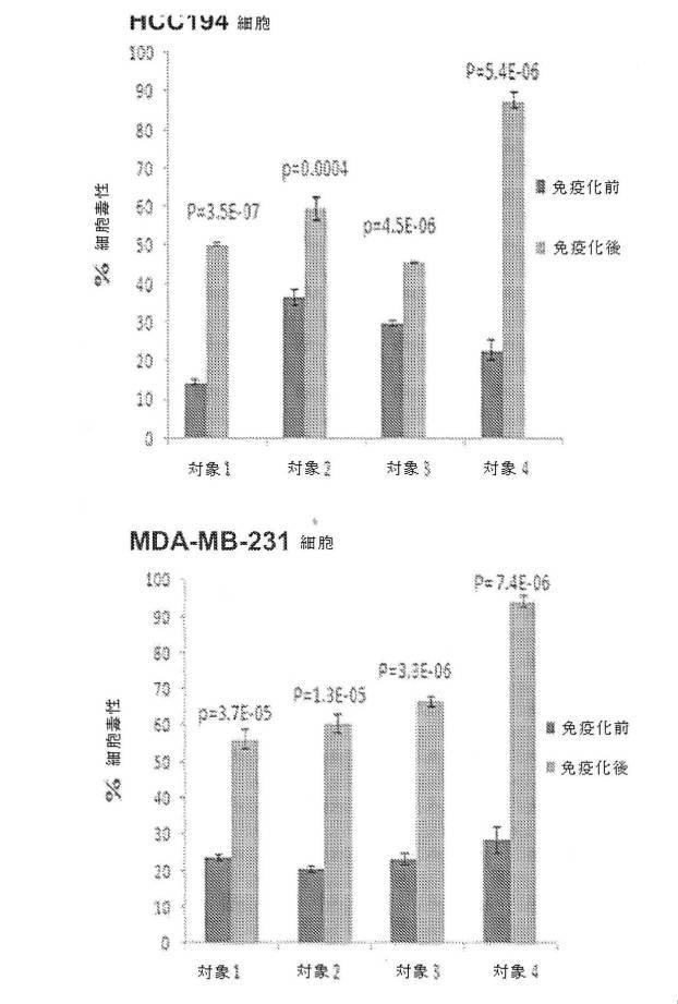 2016531120-腫瘍関連糖鎖抗原を標的として癌を治療及び予防するための組成物及び方法 図000016