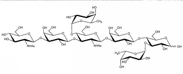2017520267-ＬＮＴ、ＬＮｎＴおよびそれらのフコシル化誘導体の生物工学的産生 図000016