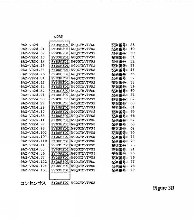 2019500859-ＣＤ１３１結合タンパク質とその利用 図000016