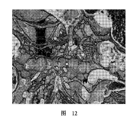 2020506452-ＨＭＤＳに基づく医学画像形成装置 図000016