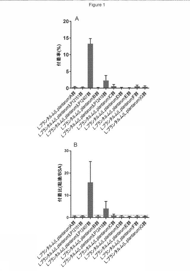 2021506302-精神疾患を予防及び／又は治療するためのラクトバチルス・プランタルム（Ｌａｃｔｏｂａｃｉｌｌｕｓ  ｐｌａｎｔａｒｕｍ）を含む組成物 図000016