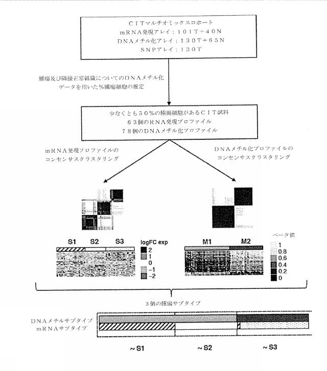 2021515587-分子シグネチャー及び低悪性度前立腺癌の同定のためのその使用 図000016