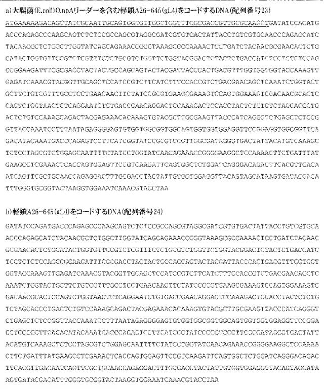 2015506910-ヒトＯＸ４０に対する特異性を有する抗体分子 図000017