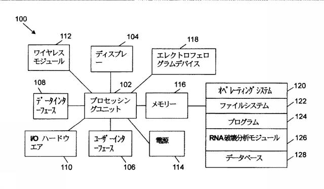 2015519887-ＲＮＡ破壊を評価するためのアッセイ、方法および装置 図000017