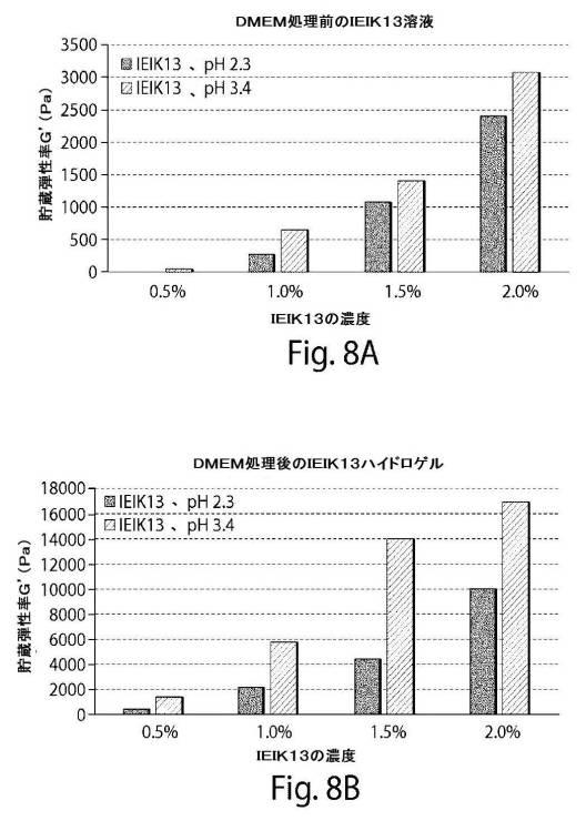 2017513928-肺大気胞を治療するための自発組織化ペプチド 図000017