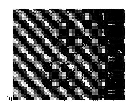 2018508234-生物学的試料を動的に培養するための方法および装置 図000017