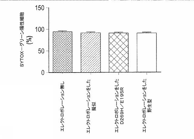 2018522592-細胞傷害性が増加した改変ナチュラルキラー細胞及びナチュラルキラー細胞株 図000017