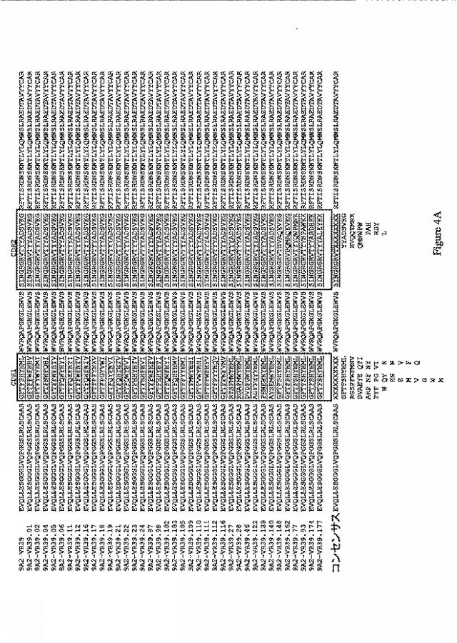 2019500859-ＣＤ１３１結合タンパク質とその利用 図000017