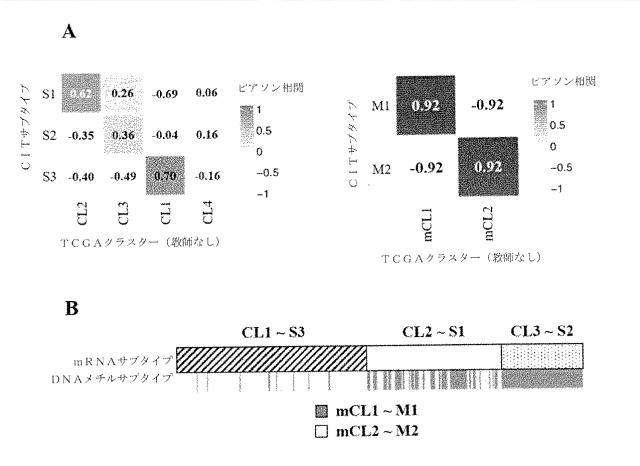 2021515587-分子シグネチャー及び低悪性度前立腺癌の同定のためのその使用 図000017