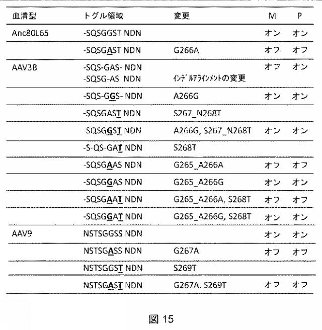 2021522827-アデノ随伴ウイルスの肝臓特異的向性 図000017