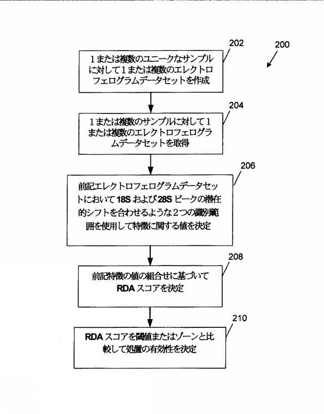 2015519887-ＲＮＡ破壊を評価するためのアッセイ、方法および装置 図000018