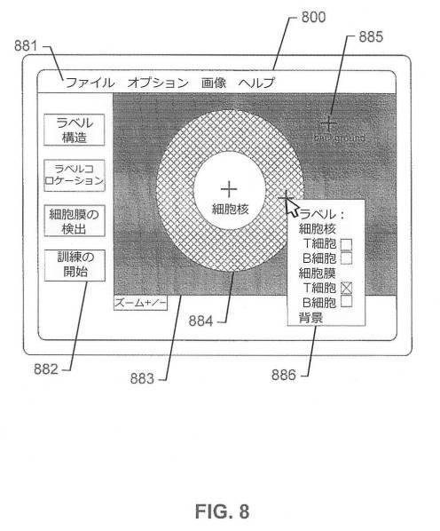 2017516992-画像内の生物学的構造及び／又はパターンの検出のためのシステム及び方法 図000018
