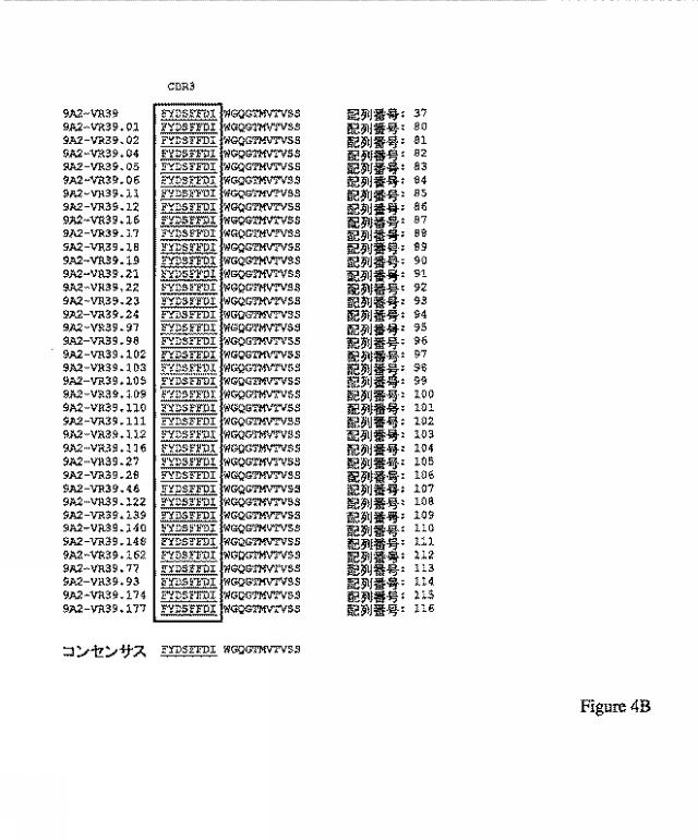 2019500859-ＣＤ１３１結合タンパク質とその利用 図000018