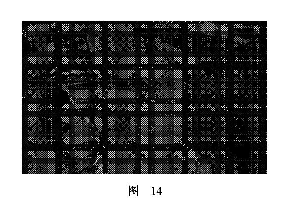 2020506452-ＨＭＤＳに基づく医学画像形成装置 図000018