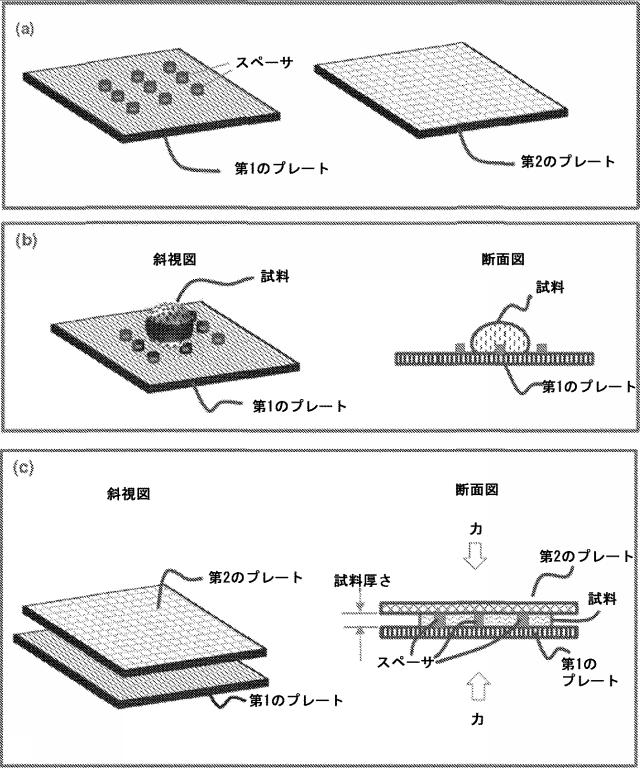 2020508446-テクスチャ表面を用いたアッセイ 図000018