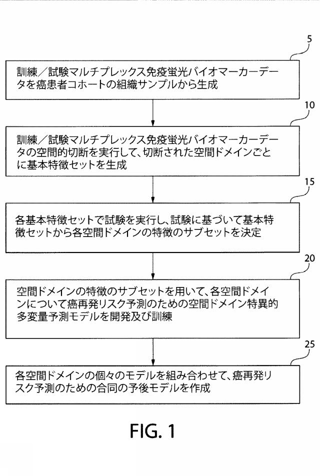 2021525361-空間マルチパラメータ細胞亜細胞画像データからの癌再発の予測 図000018