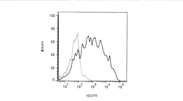 2015506954-抗原をトランスフェクトされたＴ細胞を伴う二重特異性抗体分子及び医薬におけるそれらの使用 図000019