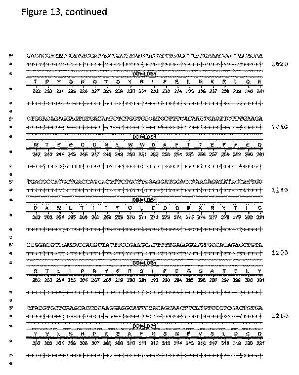 2018508230-異常ヘモグロビン症の予防及び治療のためのウイルスベクター 図000019