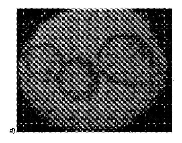 2018508234-生物学的試料を動的に培養するための方法および装置 図000019