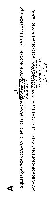 2019500859-ＣＤ１３１結合タンパク質とその利用 図000019