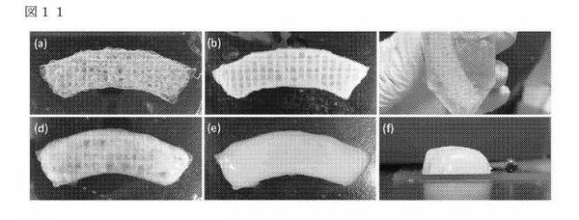 2021506462-バイオ印刷された半月板インプラント及びその使用方法 図000019