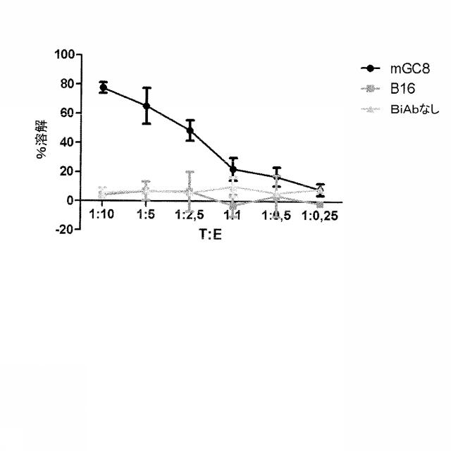 2015506954-抗原をトランスフェクトされたＴ細胞を伴う二重特異性抗体分子及び医薬におけるそれらの使用 図000020