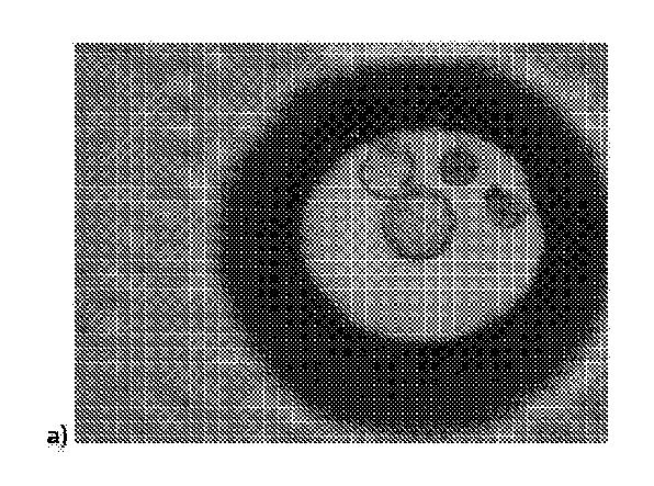 2018508234-生物学的試料を動的に培養するための方法および装置 図000020