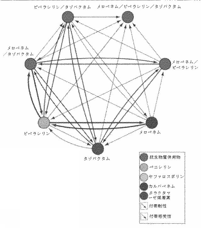 2018525434-抗細菌性薬剤併用物の組成物及び使用方法 図000020