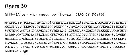 2019505588-ダノン病およびオートファジーの他の障害の治療のための方法 図000020