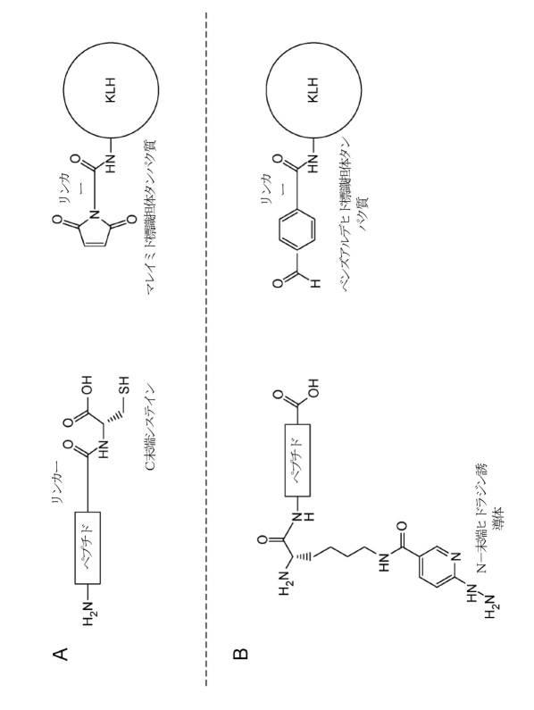 2021531763-細菌性膣炎の診断 図000020