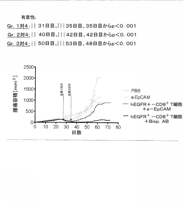 2015506954-抗原をトランスフェクトされたＴ細胞を伴う二重特異性抗体分子及び医薬におけるそれらの使用 図000021