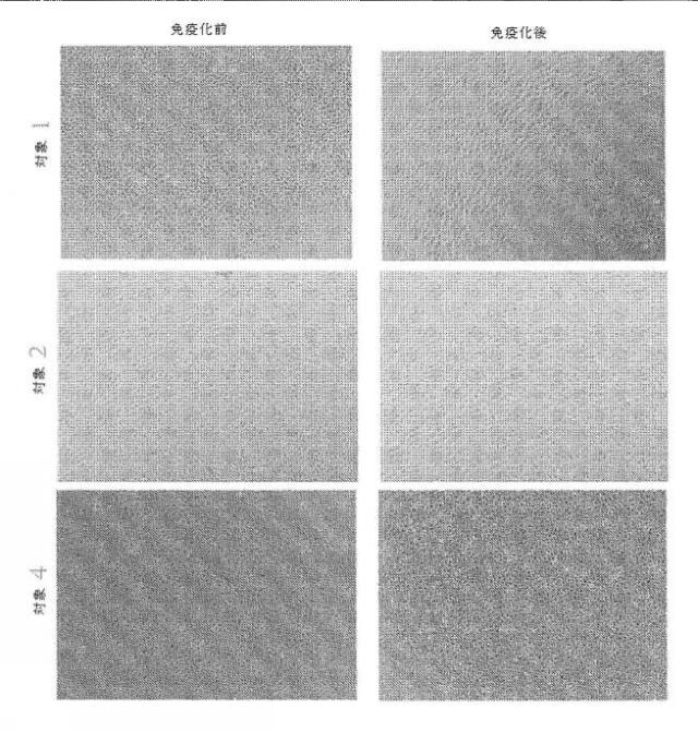 2016531120-腫瘍関連糖鎖抗原を標的として癌を治療及び予防するための組成物及び方法 図000021