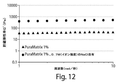 2017513928-肺大気胞を治療するための自発組織化ペプチド 図000021