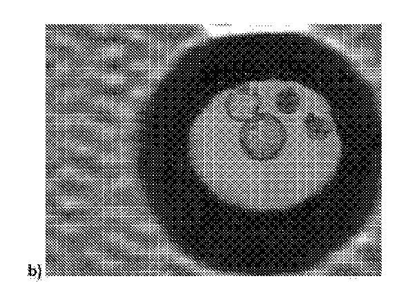 2018508234-生物学的試料を動的に培養するための方法および装置 図000021