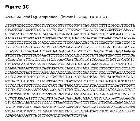 2019505588-ダノン病およびオートファジーの他の障害の治療のための方法 図000021