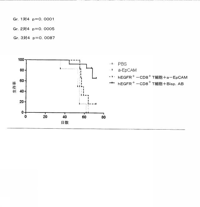 2015506954-抗原をトランスフェクトされたＴ細胞を伴う二重特異性抗体分子及び医薬におけるそれらの使用 図000022