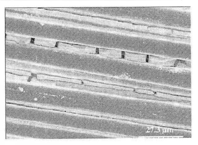 2015509152-高強度セラミック繊維および製造方法 図000022