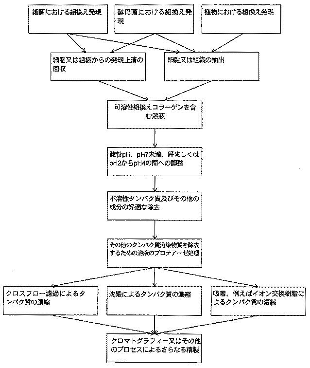 2016514708-三重らせんタンパク質の精製 図000022