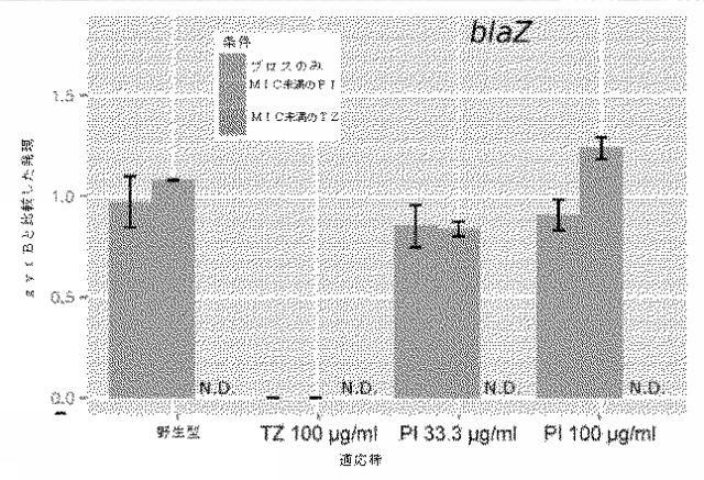 2018525434-抗細菌性薬剤併用物の組成物及び使用方法 図000022