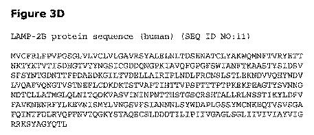 2019505588-ダノン病およびオートファジーの他の障害の治療のための方法 図000022