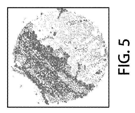 2021525361-空間マルチパラメータ細胞亜細胞画像データからの癌再発の予測 図000022