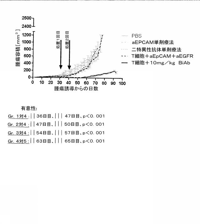 2015506954-抗原をトランスフェクトされたＴ細胞を伴う二重特異性抗体分子及び医薬におけるそれらの使用 図000023