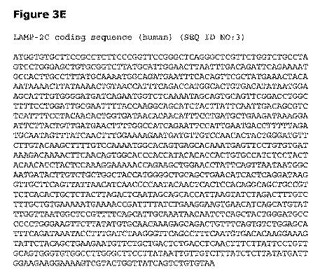 2019505588-ダノン病およびオートファジーの他の障害の治療のための方法 図000023