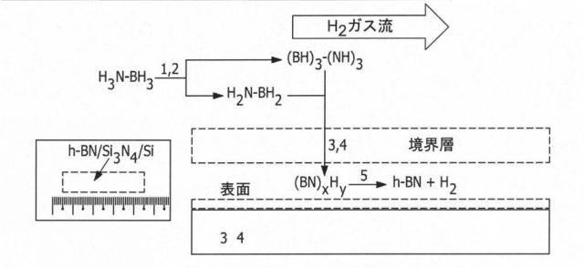 2019522348-シリコン系誘電体上の六方晶窒化ホウ素の直接形成 図000023